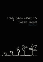 I Only Grow Where the Bullshit Doesn’t - Prompt Journal - Ink & Attitude Bookstore